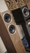 Fyne Audio F501S - álló hangfalpár /dió/