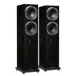 Fyne Audio F502S álló hangfalpár /fekete tölgy/