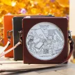 FiiO SK-DM15 (Nest) védőtok Barna