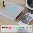 FiiO SR11 Streamer - Ezüst