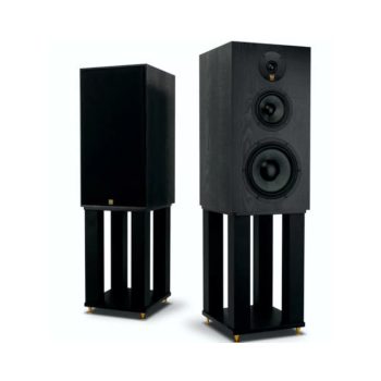 WILSON CLASSIC + STAND (ÁLLVÁNY) SZETT