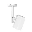 CAVUS CEILING MOUNT ERA 100 WHITE 
