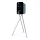 Q ACOUSTICS CONCEPT 300 + STAND POLCSUGÁRZÓ ÁLVÁNNYAL- FEKETE/RÓZSAFA