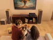 DENON AVR-S980H 7.2 8K HÁZIMOZI RÁDIÓERŐSÍTŐ FEKETE