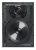 Q ACOUSTICS QI2210 (Qi80RP)
