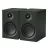 Pro-Ject Speaker Box 5 E Carbon - állványos hangsugárzó /selyemfényű zöld/