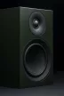 Pro-Ject Speaker Box 5 E Carbon - állványos hangsugárzó /selyemfényű zöld/