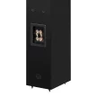 Pro-Ject Speaker Box 12 E Carbon - álló hangsugárzó /selyemfényű fekete/