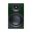 Pro-Ject Színes Hangrendszer E - komplett hifi szett /fenyőzöld/